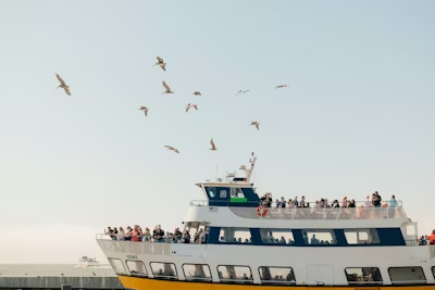 Cruise Ship Crowd Chaos: 9 Brilliant Tricks to Escape the Madness
